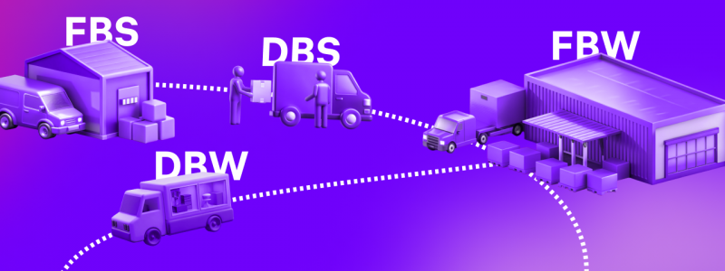 DBS на Wildberries: аналитика и расчёт прибыли